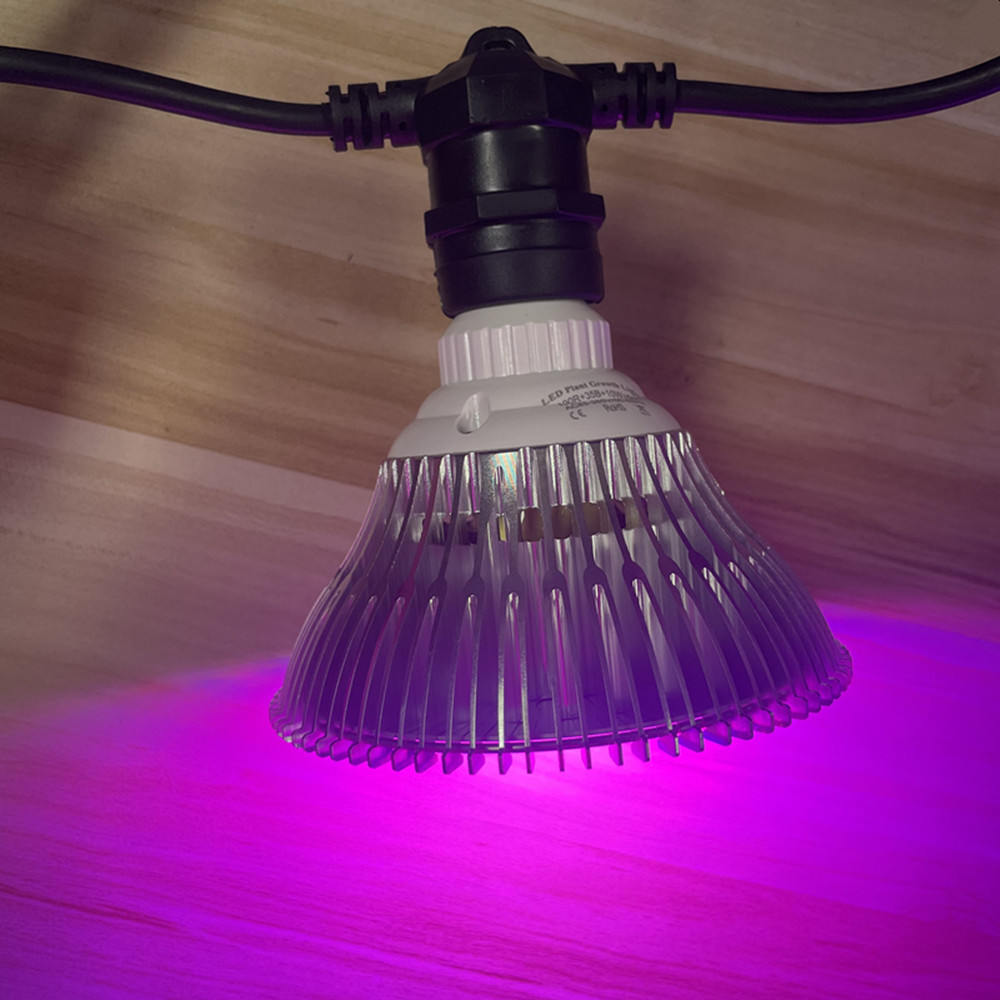 10M Cable LED String Commercia – Smart Garden Lamp recenzja i cena
