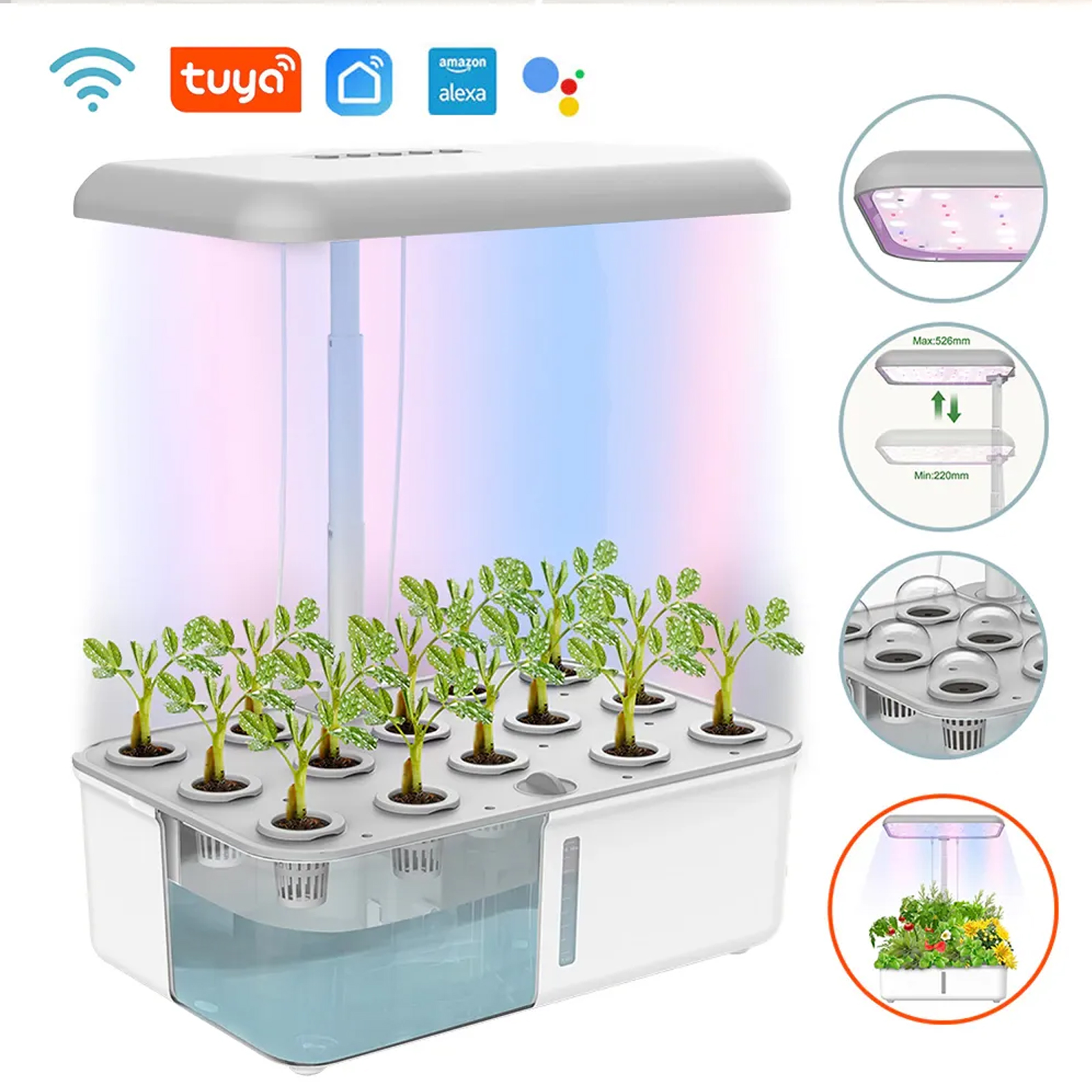 Tuya WiFi Plant Hydroponics Sy – Smart Garden Iot recenzja i cena