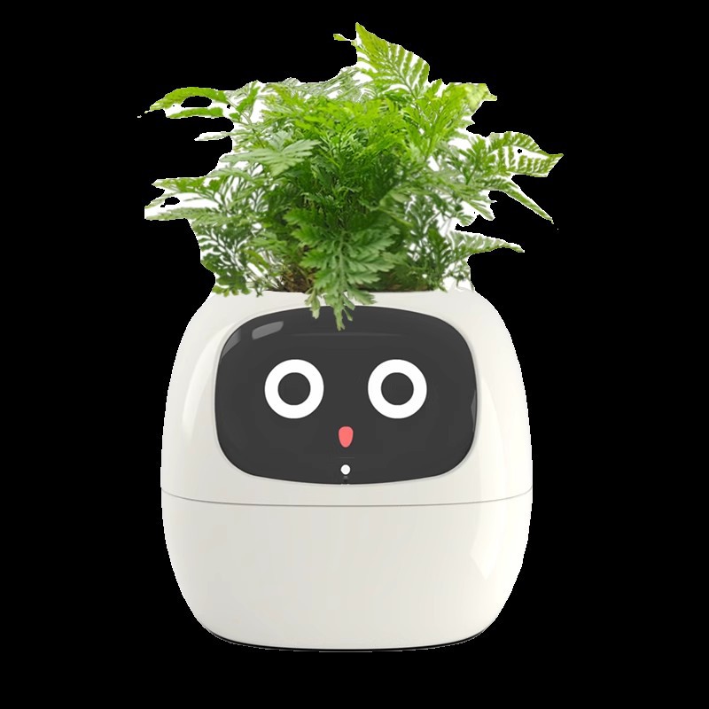 Sensor Smart Mimi Flower Pot F – Self Watering Pot Sensor recenzja i cena