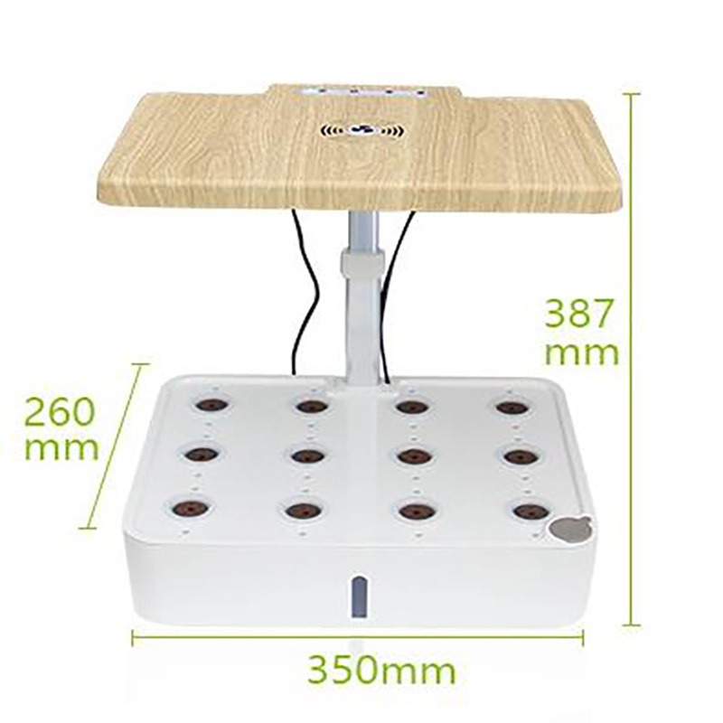 Gardening Indoor cultivation H – Smart Garden Box recenzja i cena