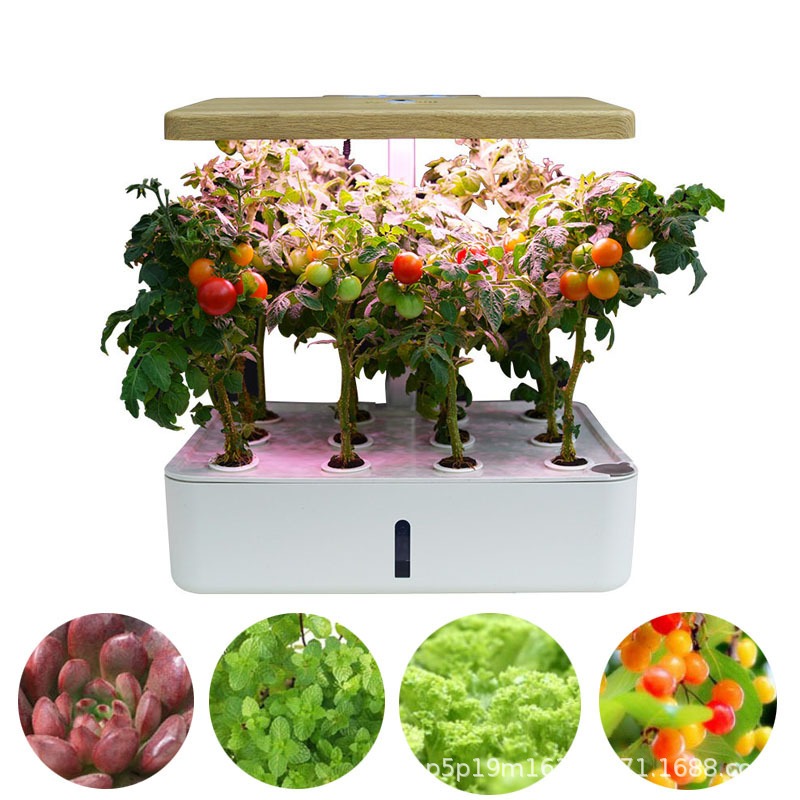 Gardening Indoor cultivation H – Smart Garden Box recenzja i cena