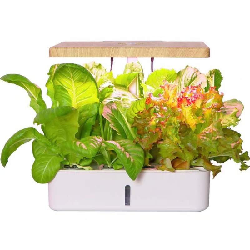 Gardening Indoor cultivation H – Smart Garden Box recenzja i cena