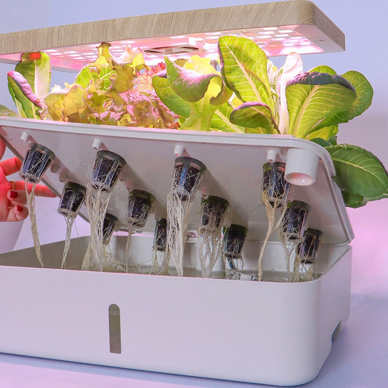 Gardening Indoor cultivation H – Smart Garden Box recenzja i cena