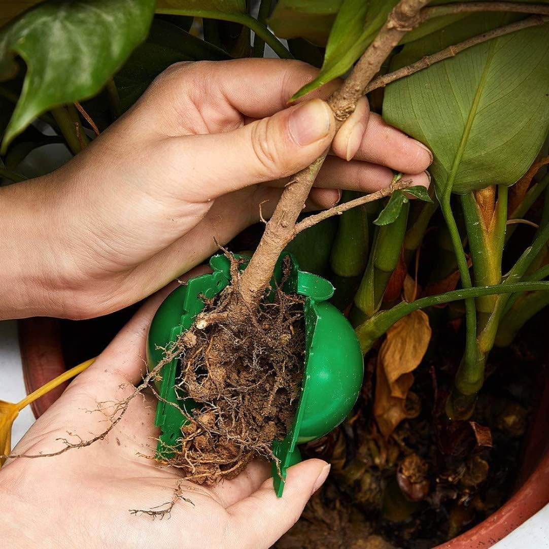 Reusable Plant Rooting Ball Ga – Smart Garden Box recenzja i cena