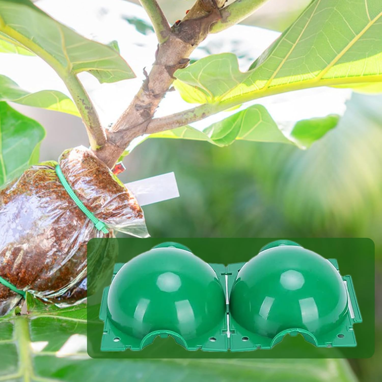 Reusable Plant Rooting Ball Ga – Smart Garden Box recenzja i cena