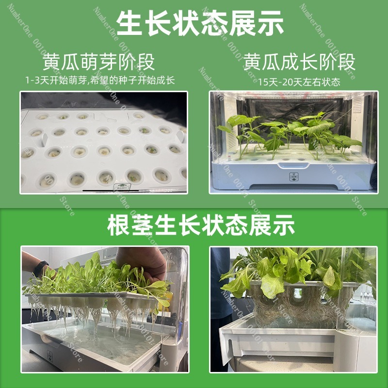 Home Balcony Smart Hydroponic  – Smart Garden Box recenzja i cena